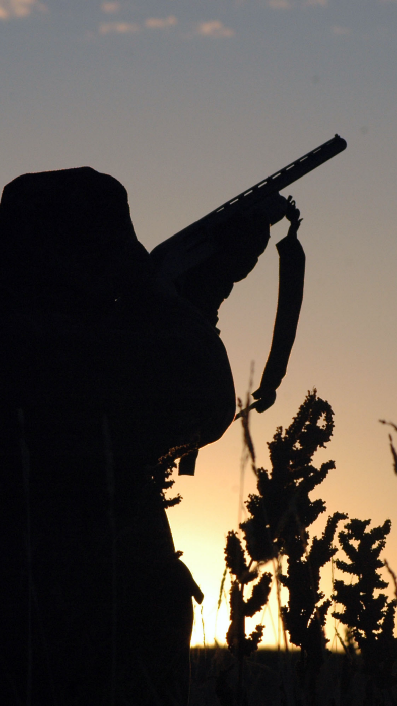 Hunting is More Popular in Toronto Despite the Stereotypes and