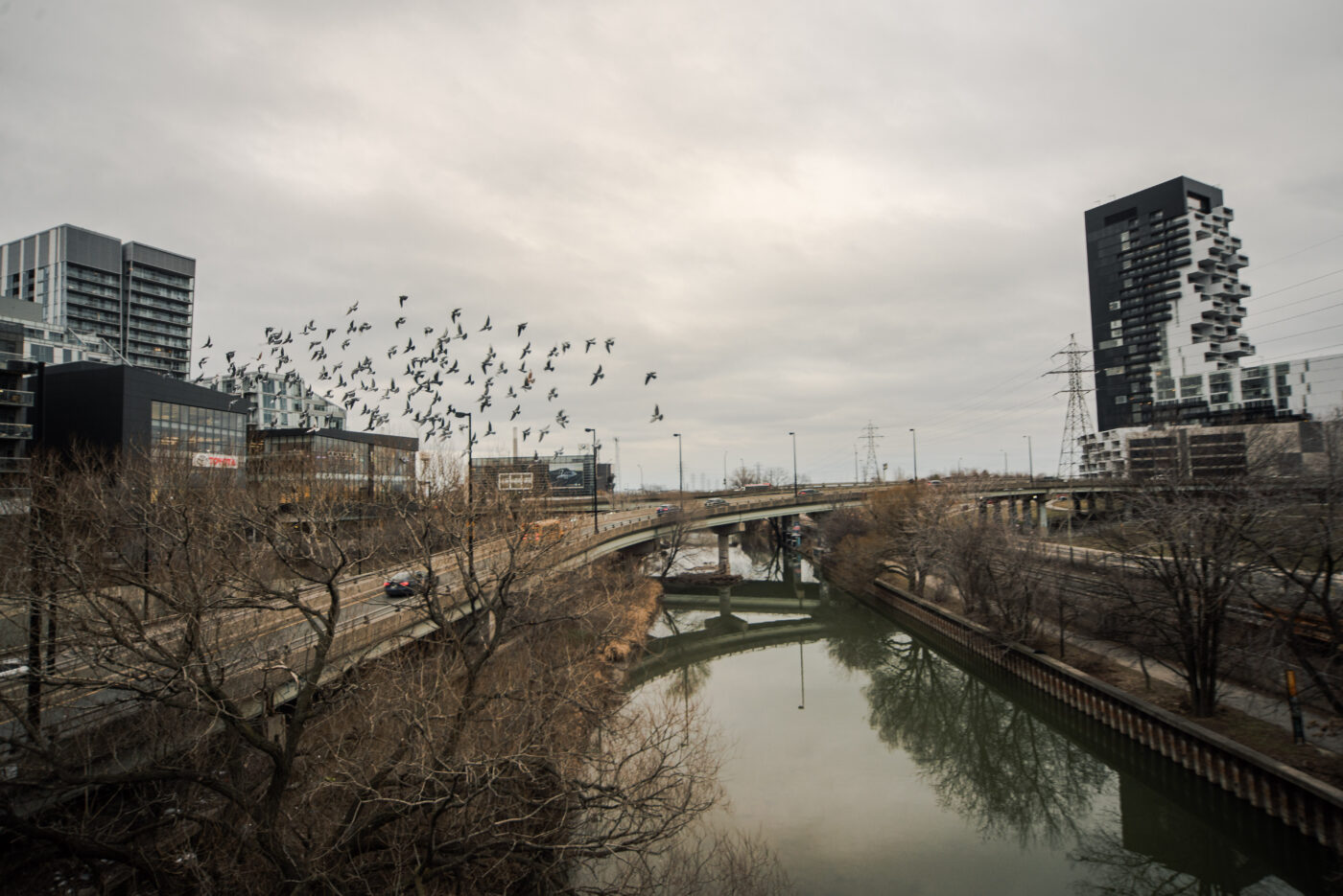 The Don River as seen from the Time and A Clock bridge on Queen St. E. at the border of Riverside.