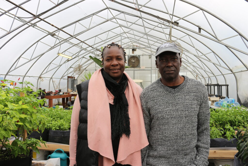 Co-founders Jacqueline Dwyer and Noel Livingston stand inside the Toronto Black Farmers Collective greenhouse.