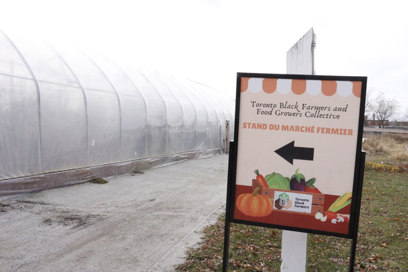 The Toronto Black Farmers and Food Growers Collective board outside their greenhouse in Downsview Park