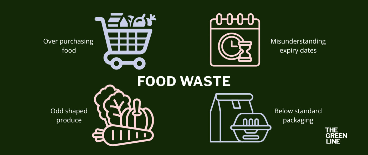CTCN WEST BEND FOOD WASTE GFX BRD_fullscreen Icon graphic on different forms of food waste.