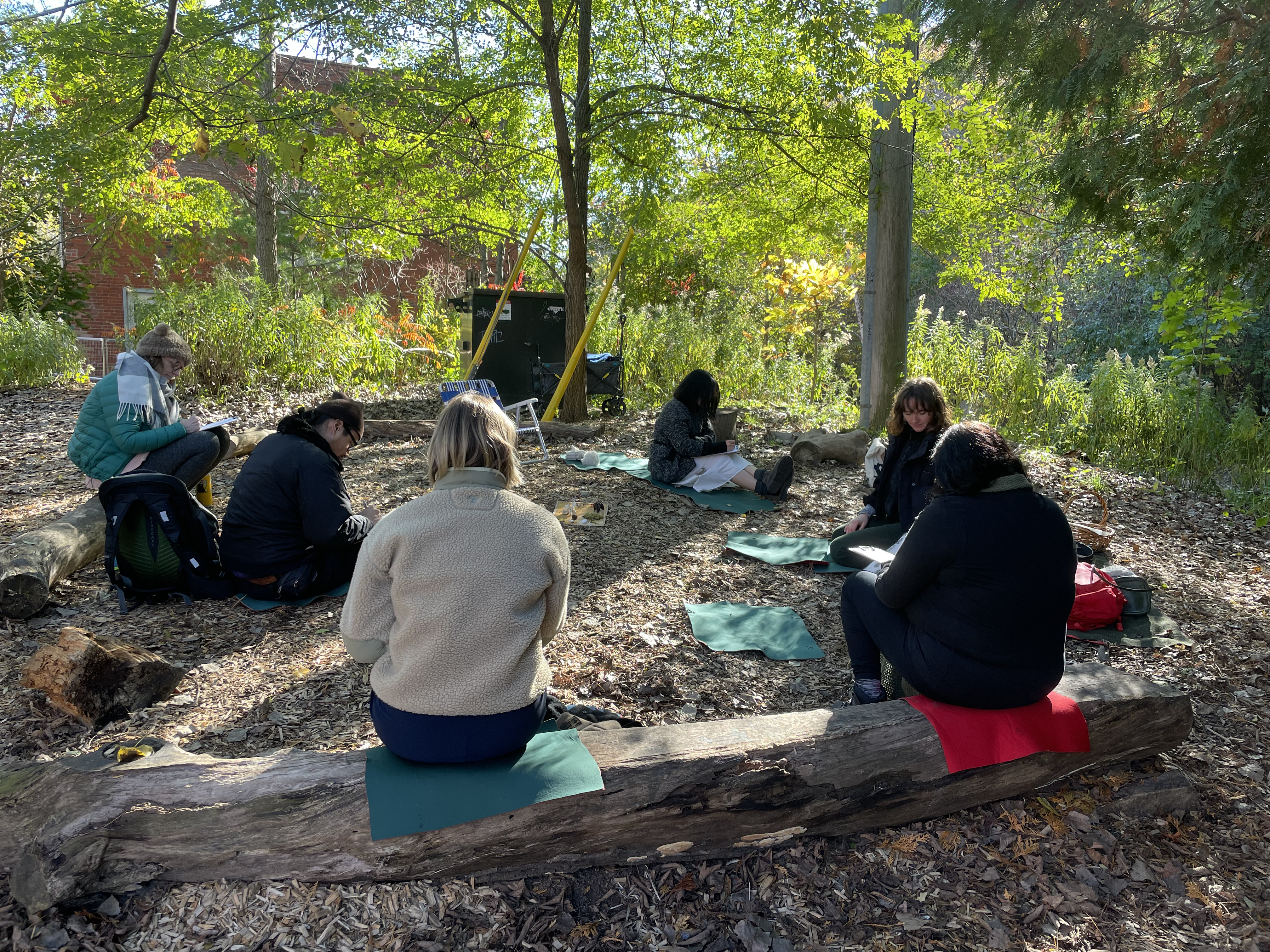 The Forest Bathing Club sit in a circle at Evergreen Brick Works.