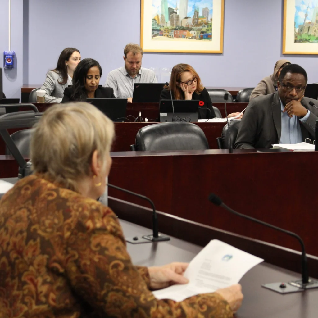 Making a deputation at Toronto City Hall