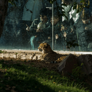 Donna Lay Zoo Unsplash