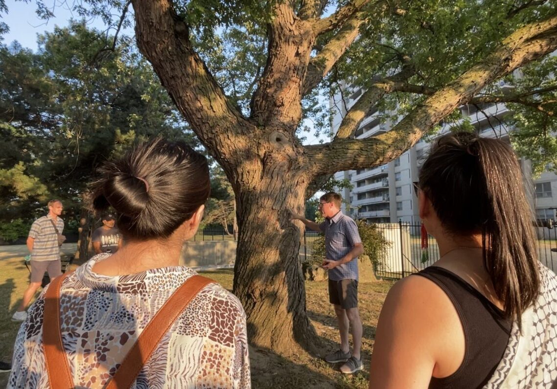 Todd Irvine talks about tree cover in Thorncliffe Park.