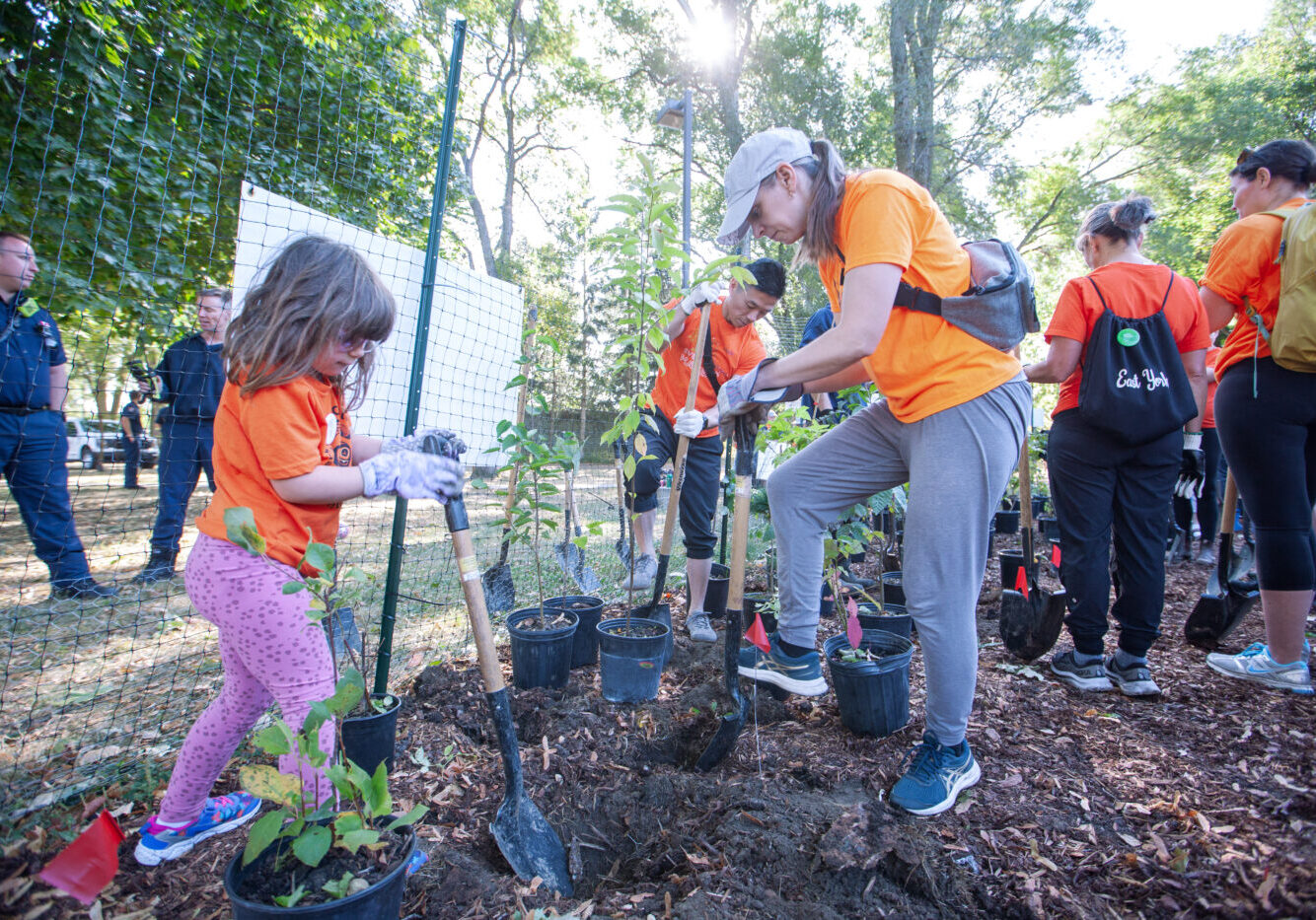 Residents of The Pocket and TRCA staff plant the "tiny forest" to build a sustainable neighbourhood.