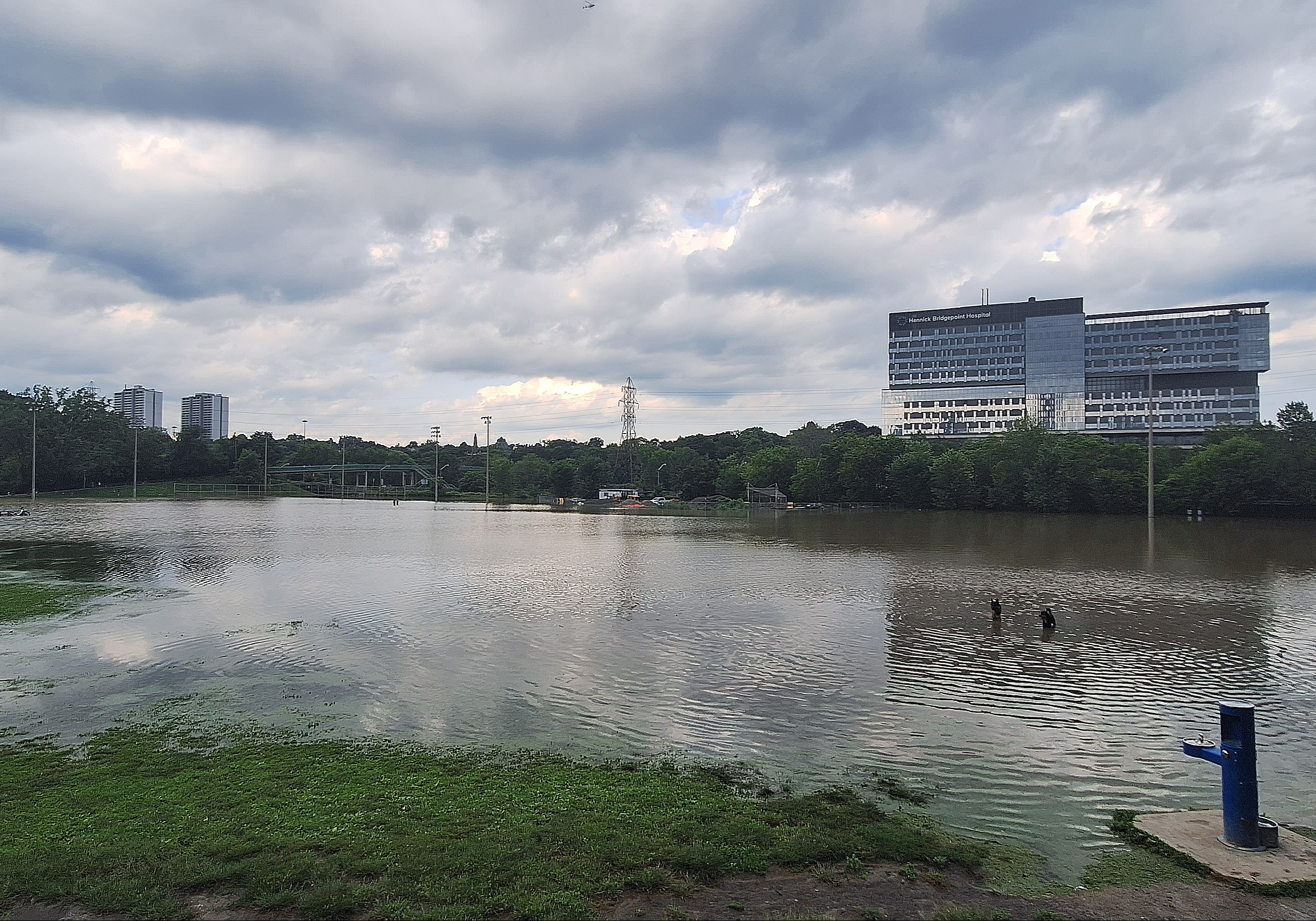 Riverdale Park West under water after Don Valley Parkway flooded on July 16, 2024. JAY COCKBURN/THE GREEN LINE.